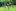 109228865 3141437759227032 223497556034474651 n