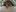 IMG 7217 HEIC
