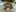IMG 7493 HEIC