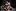 472855517 1101448828444415 1490298280788623327 n