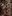 789680593 2625532034550037 7821040566738102258 n