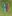 705718218 1478006104369466 4600815607311984882 n