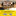 279188105 10165883834605570 7444559774688150243 n