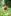 106243100 4242948859079234 6629128985053517778 n