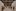 553589439 1250405103794137 526970245123078757 n